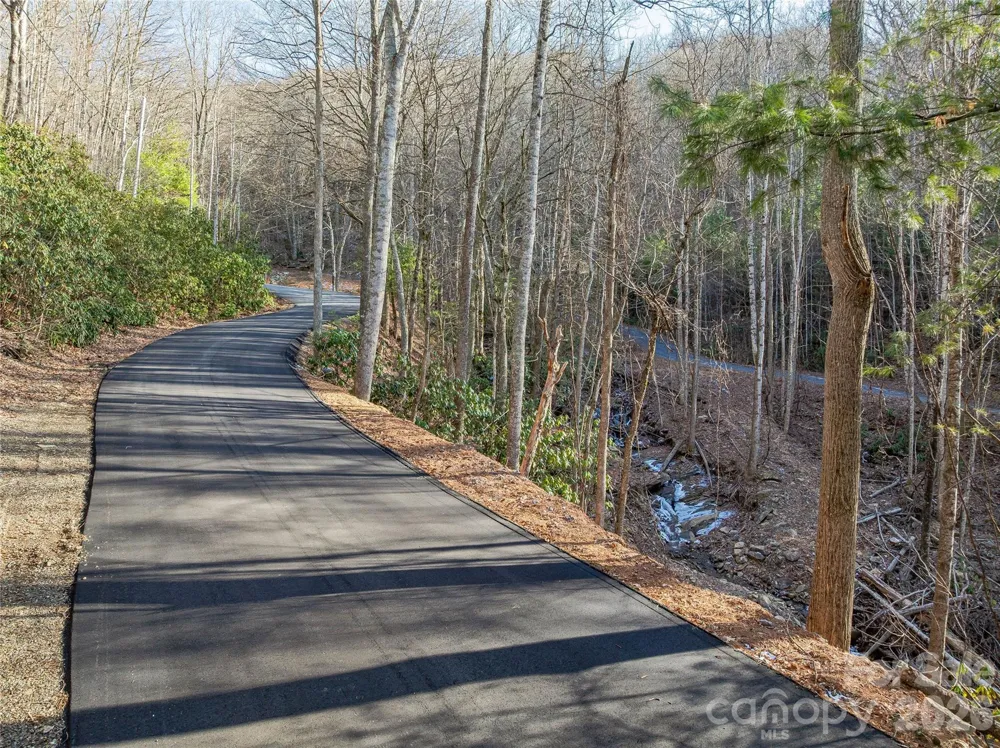 119 Wildflower Cove Drive Swannanoa, NC 28778