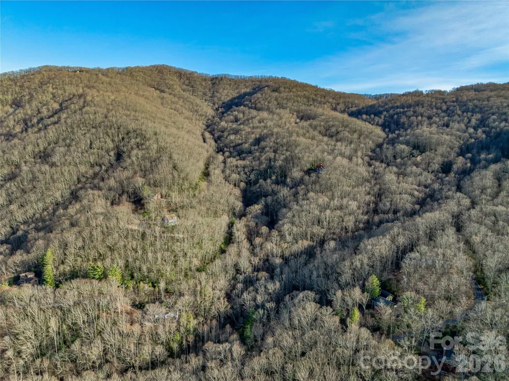 119 Wildflower Cove Drive Swannanoa, NC 28778