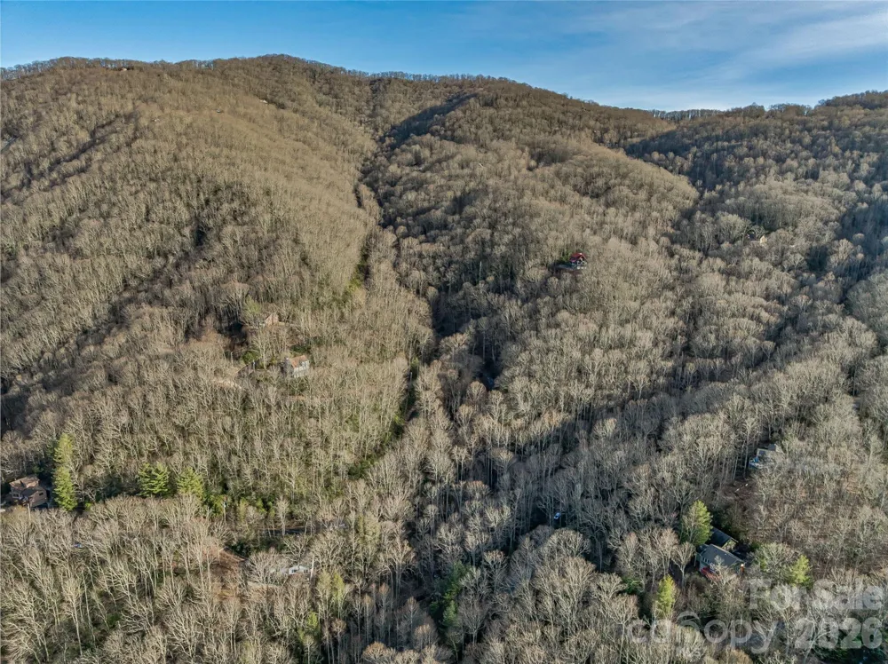 119 Wildflower Cove Drive Swannanoa, NC 28778