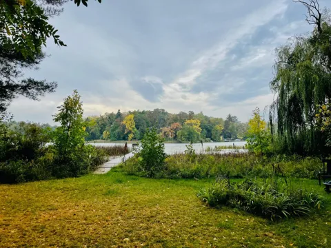 5969 Jack Pine Road