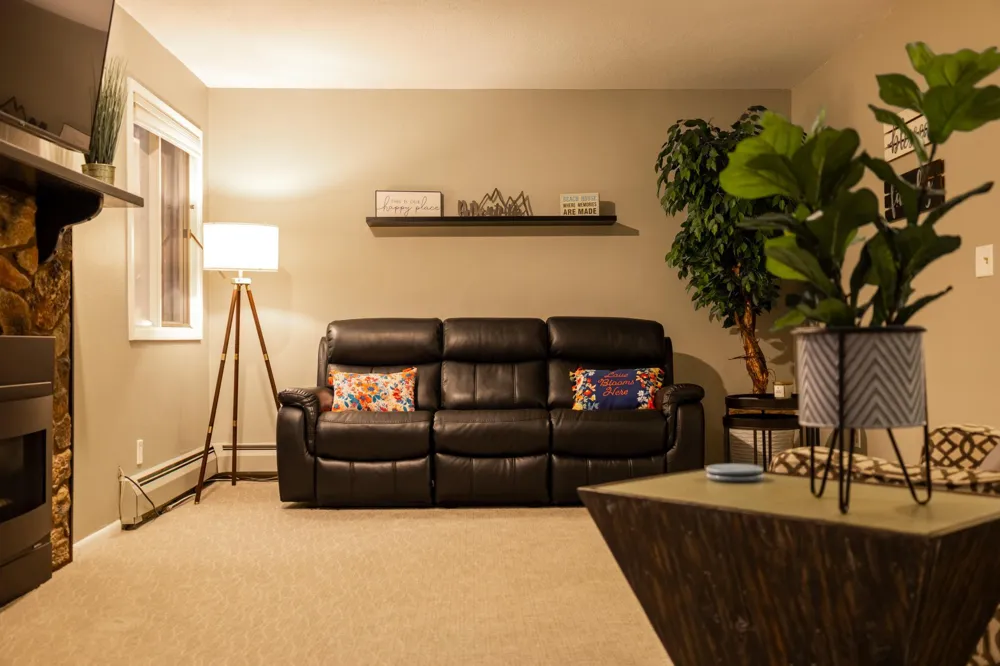 2520 Le Homme Dieu Heights NE #2 Alexandria, MN 56308