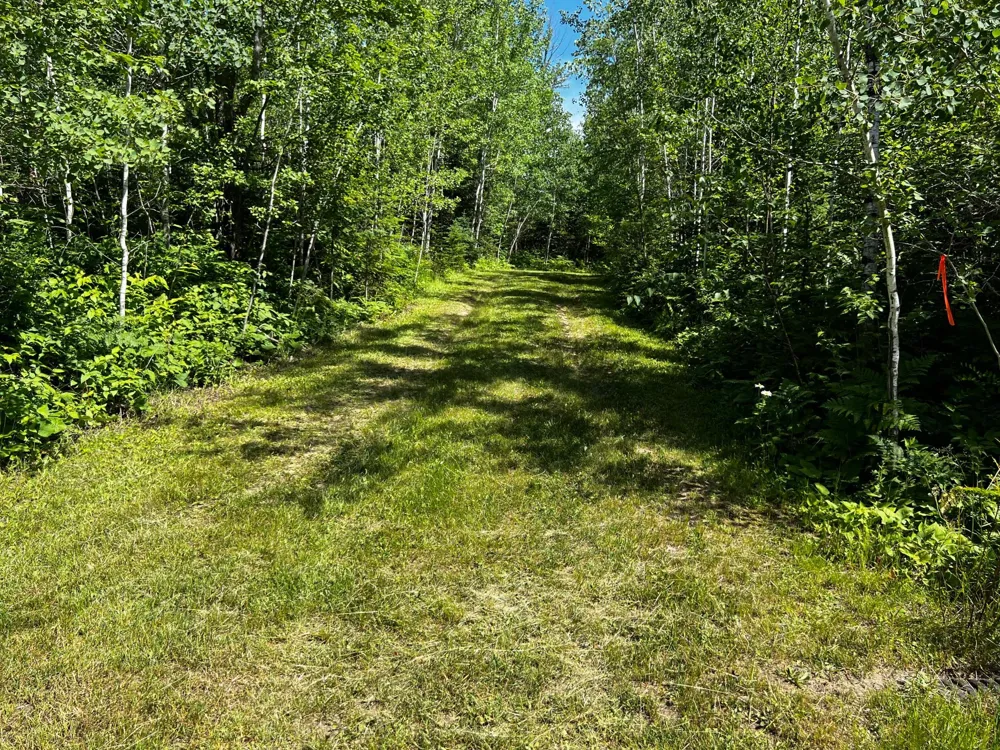 18219 Majestic Hideaway Way Nashwauk, MN 55769