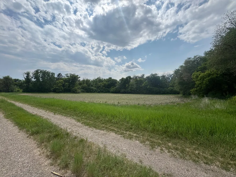 1265 170th Street Wolverton, MN 56594