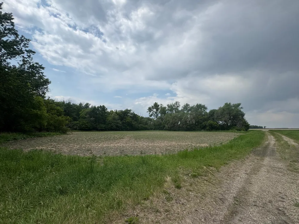 1265 170th Street Wolverton, MN 56594