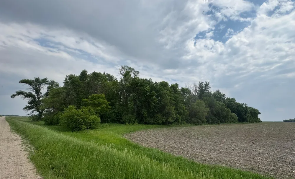 1265 170th Street Wolverton, MN 56594