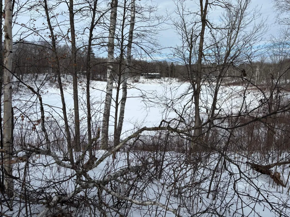 TBD Fawn Trail NE Longville, MN 56655