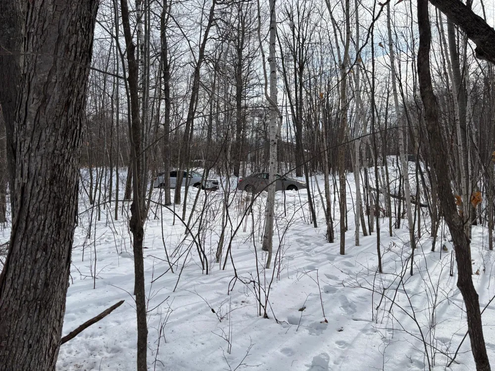 TBD Fawn Trail NE Longville, MN 56655
