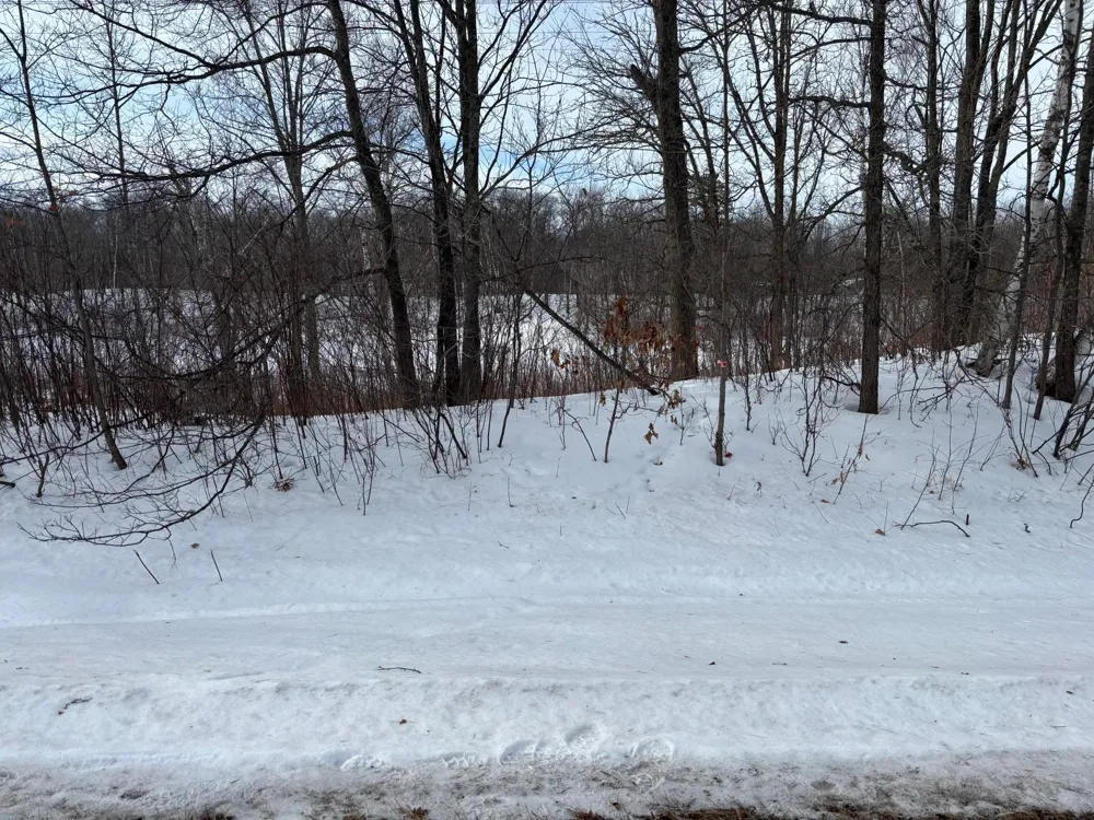 TBD Fawn Trail NE Longville, MN 56655