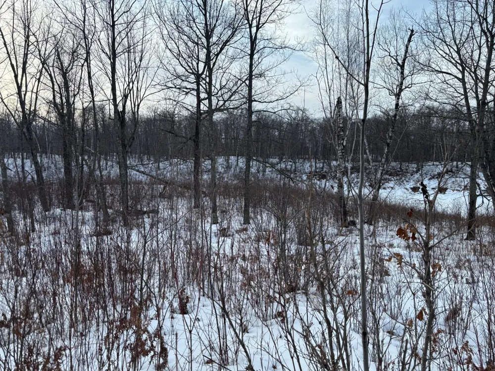 TBD Fawn Trail NE Longville, MN 56655