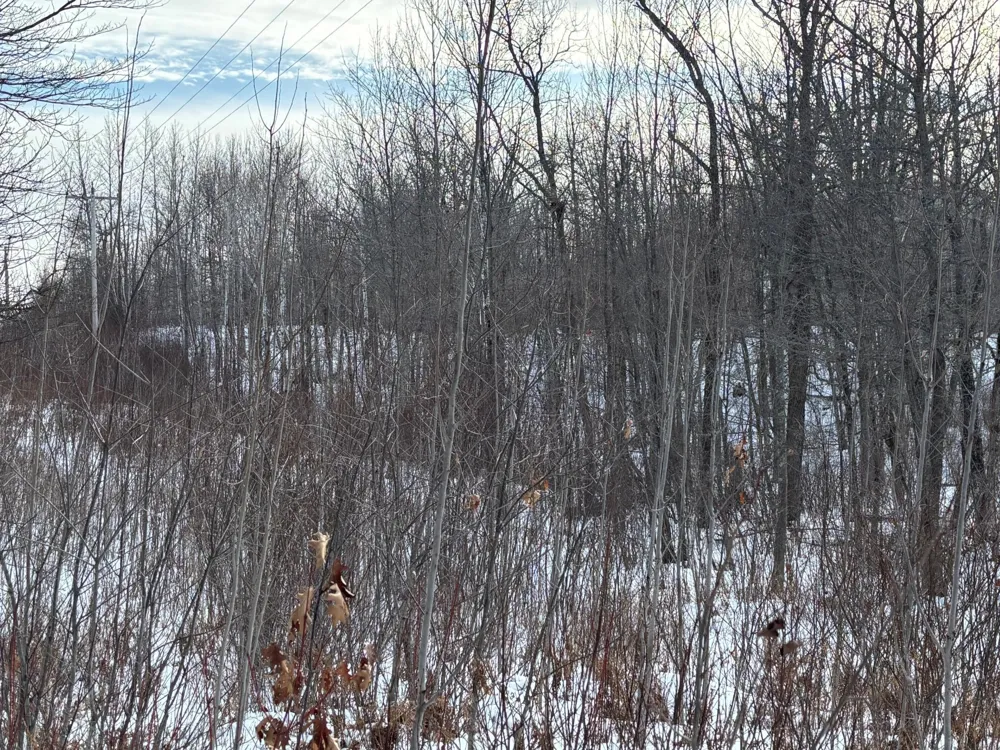 TBD Fawn Trail NE Longville, MN 56655