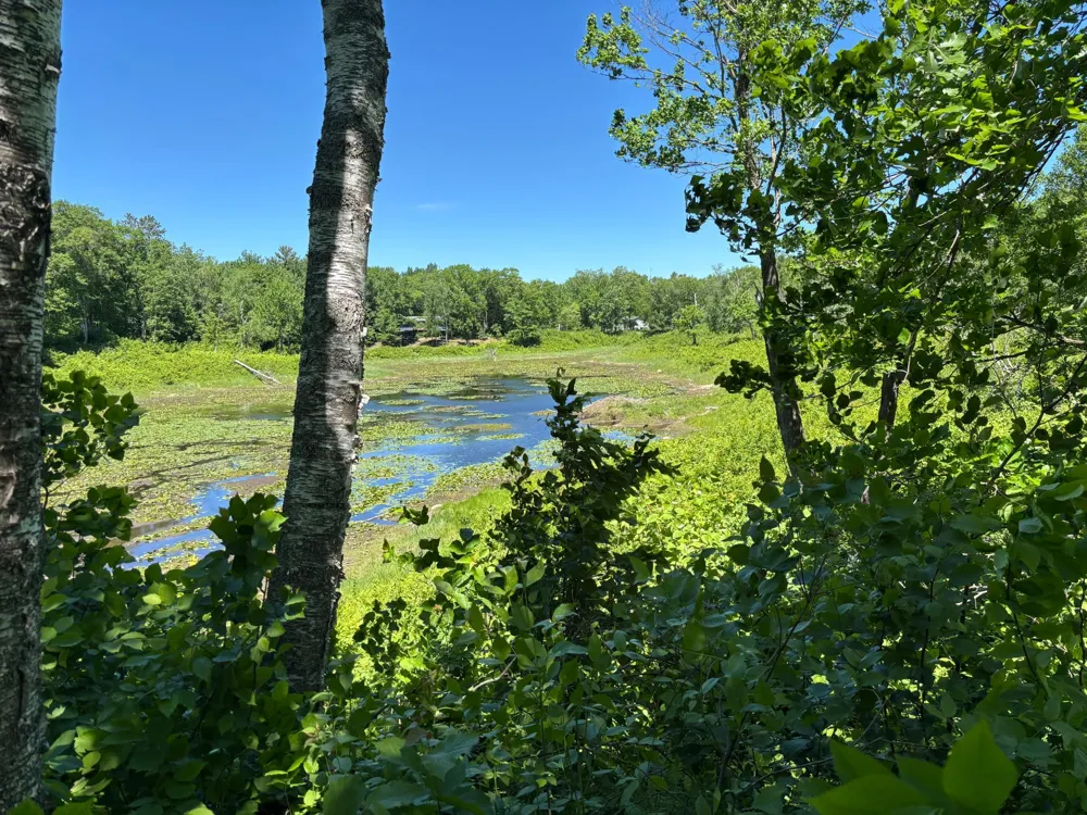 TBD Fawn Trail NE Longville, MN 56655