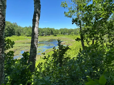 TBD Fawn Trail NE