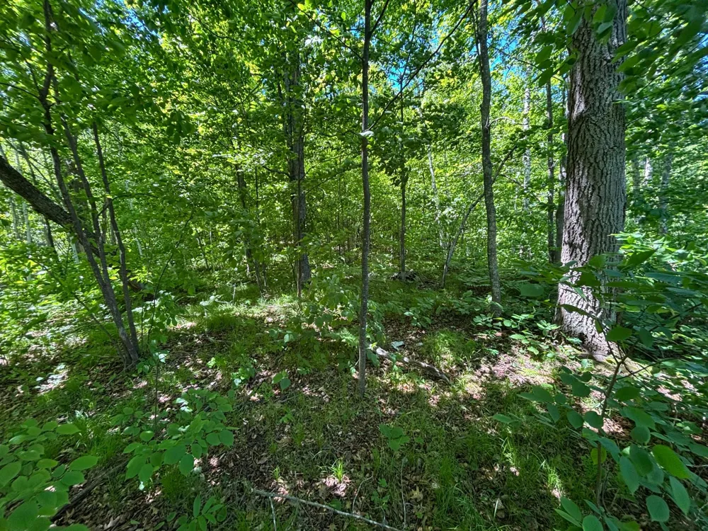 TBD Fawn Trail NE Longville, MN 56655