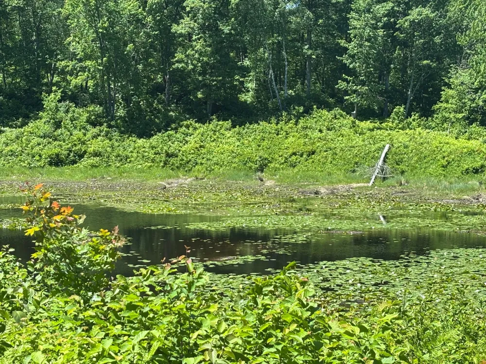 TBD Fawn Trail NE Longville, MN 56655