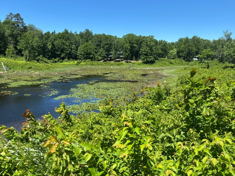 TBD Fawn Trail NE Longville, MN 56655