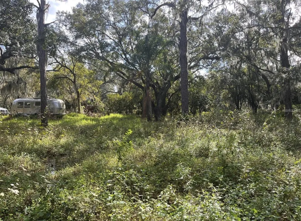 12111 FRED DRIVE Riverview, FL 33578
