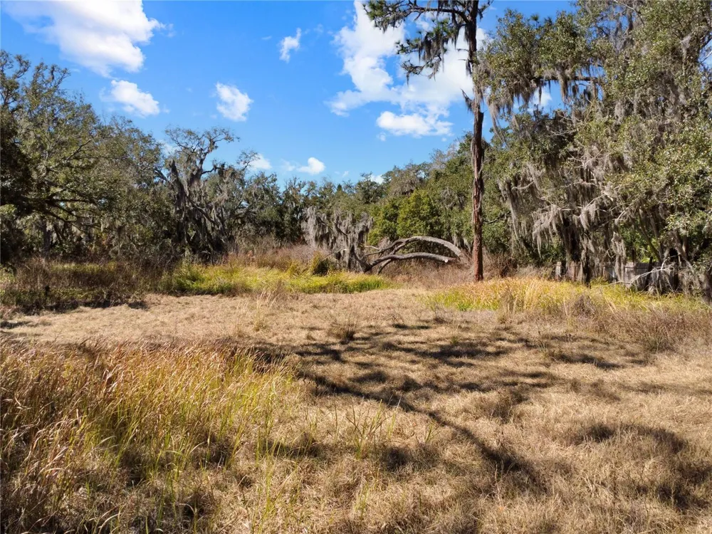 12111 FRED DRIVE Riverview, FL 33578