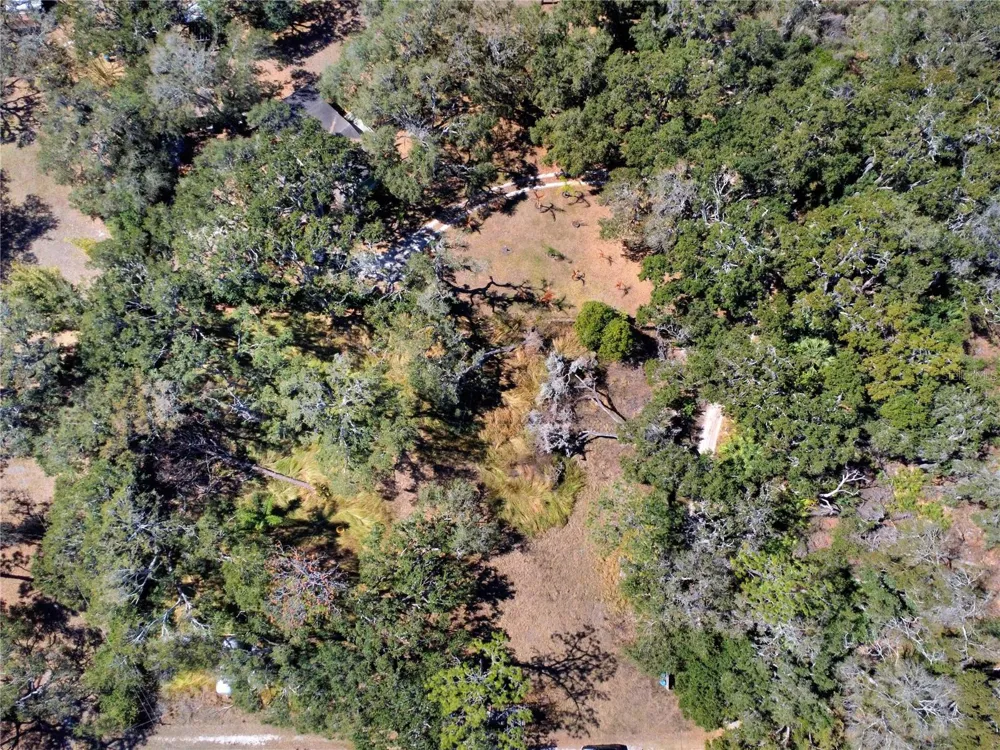 12111 FRED DRIVE Riverview, FL 33578