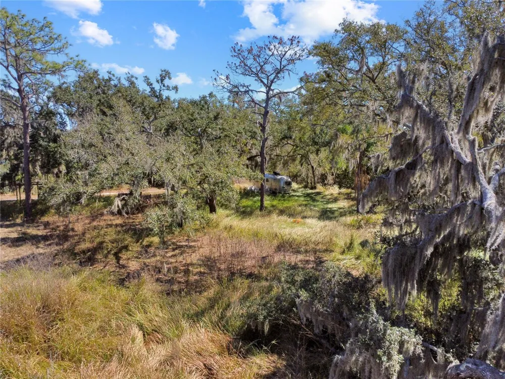 12111 FRED DRIVE Riverview, FL 33578