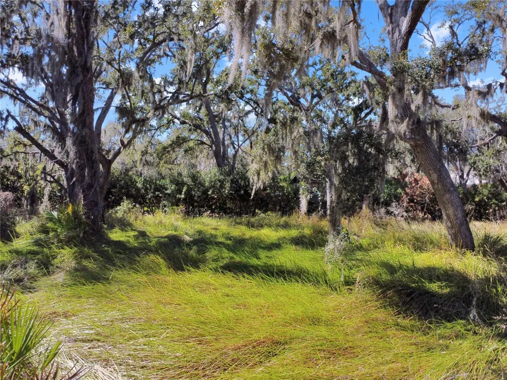 12111 FRED DRIVE Riverview, FL 33578