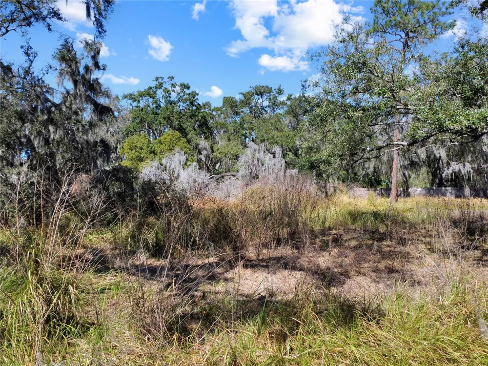 12111 FRED DRIVE Riverview, FL 33578