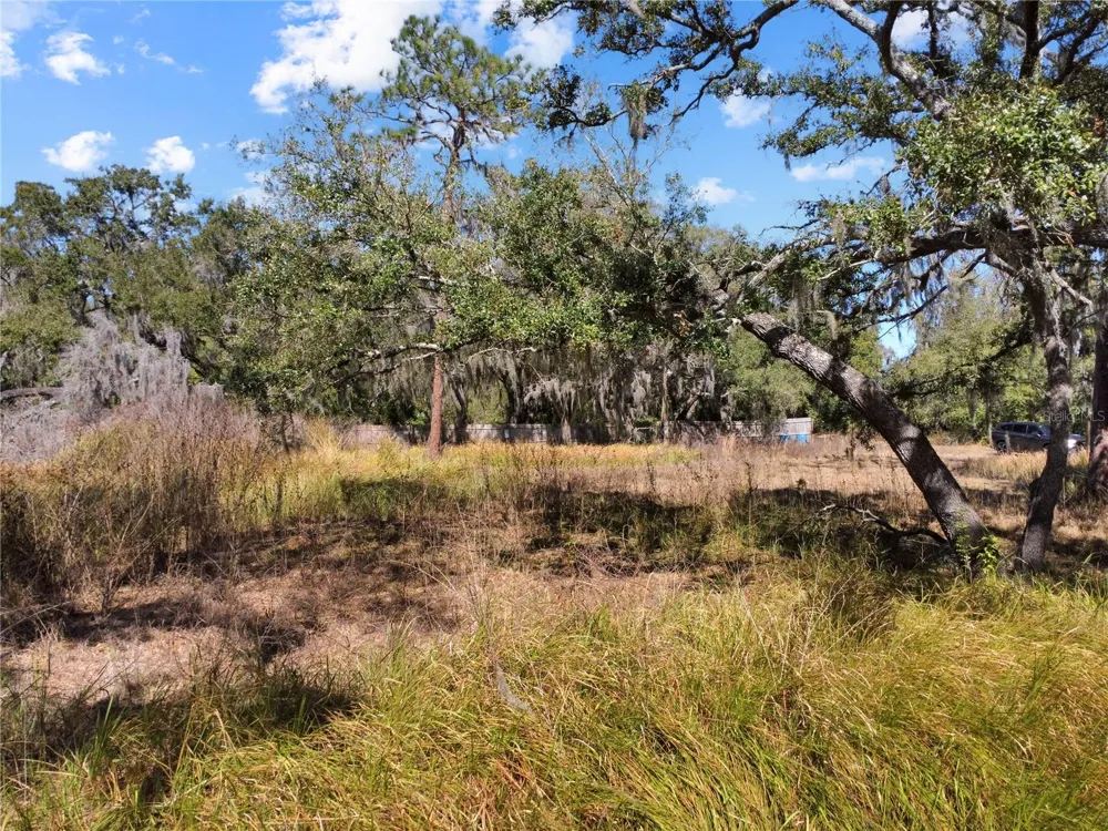 12111 FRED DRIVE Riverview, FL 33578