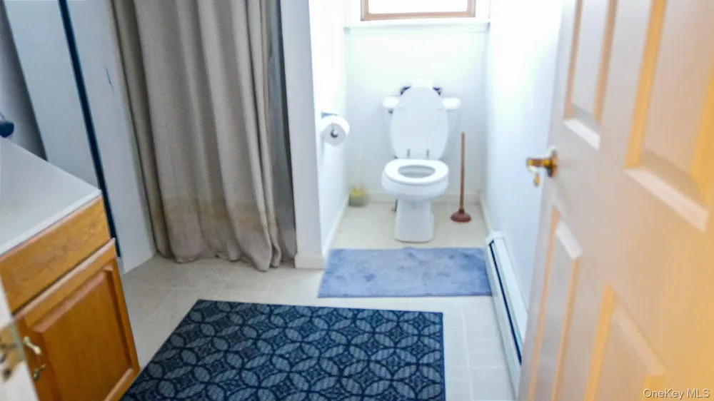 6 Rock View Lane Loch Sheldrake, NY 12759