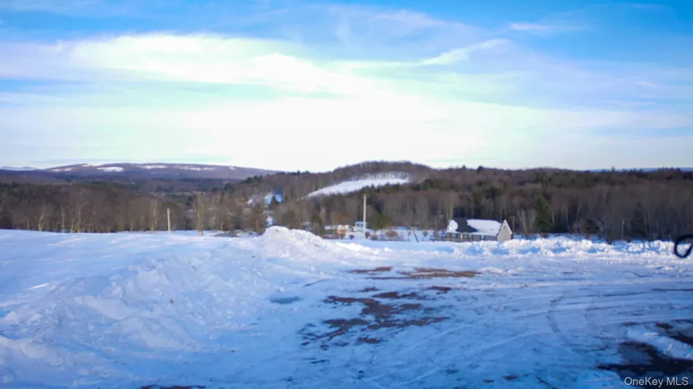6 Rock View Lane Loch Sheldrake, NY 12759