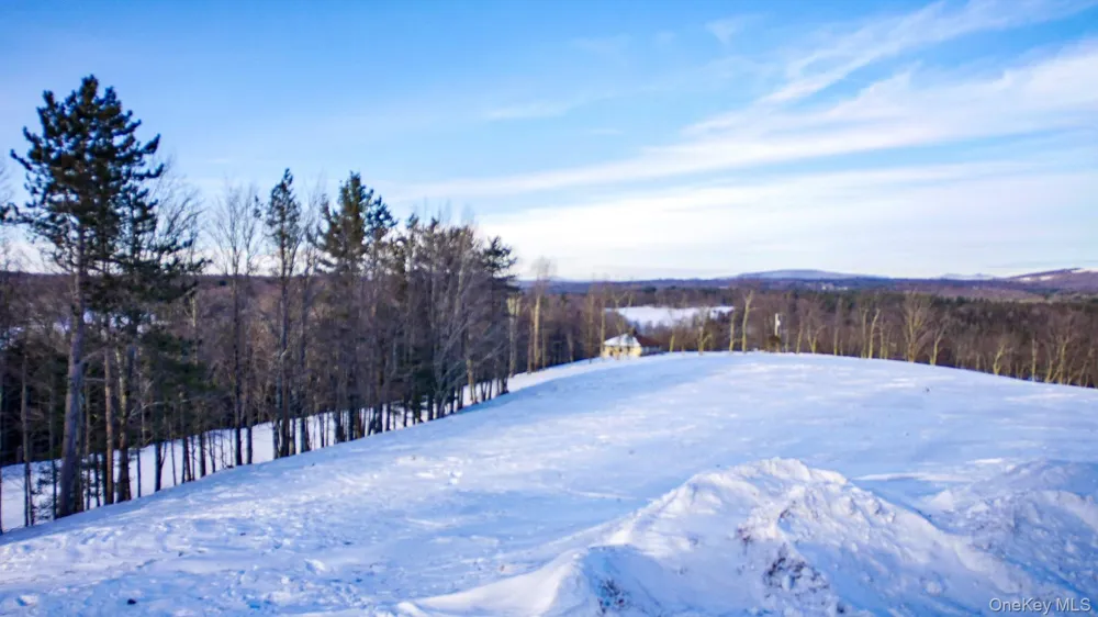6 Rock View Lane Loch Sheldrake, NY 12759