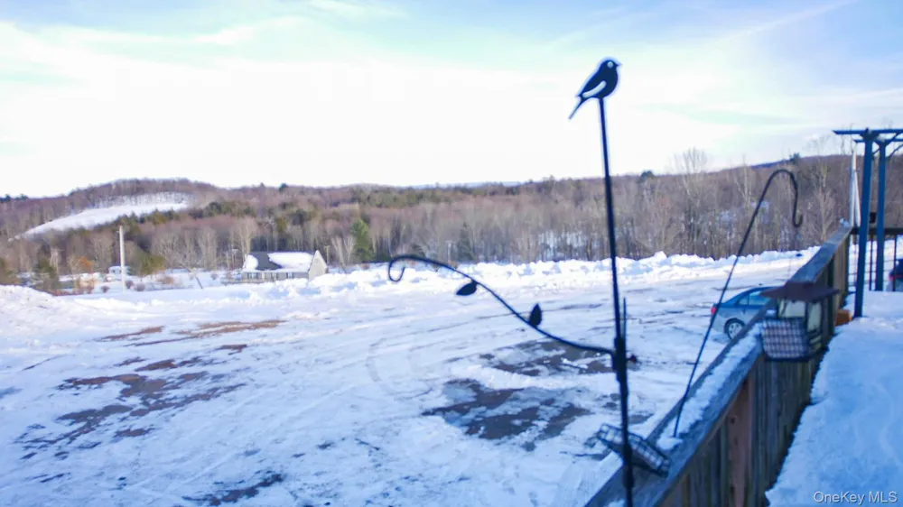 6 Rock View Lane Loch Sheldrake, NY 12759