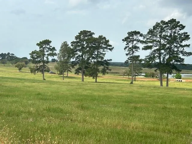 2622 Lakeland Drive Hillister, TX 77624