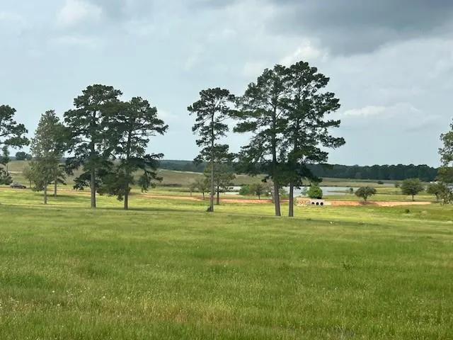 2622 Lakeland Drive Hillister, TX 77624