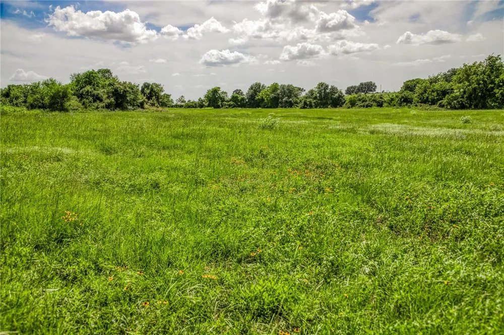 1070 Sledge Court Chappell Hill, TX 77426