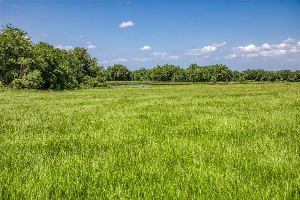 1070 Sledge Court Chappell Hill, TX 77426