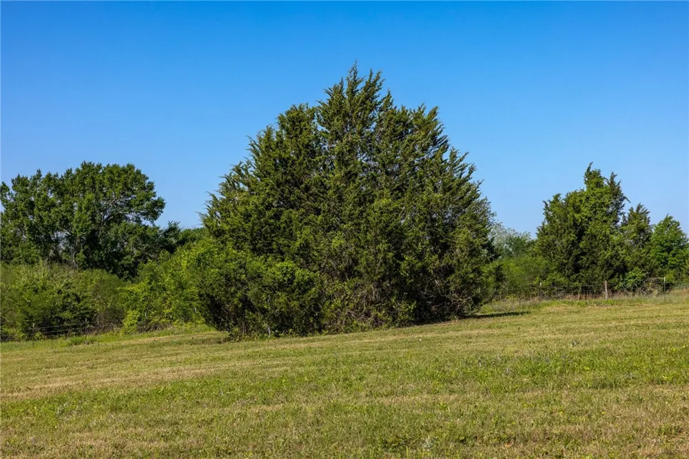 Sauney Chapel Road Chappell Hill, TX 77426
