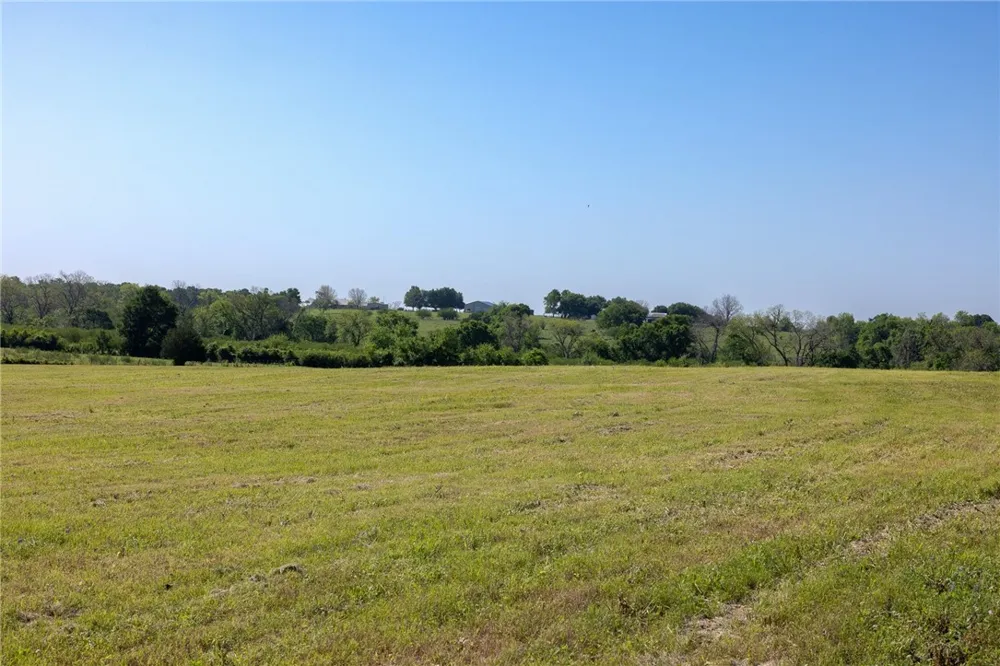 Sauney Chapel Road Chappell Hill, TX 77426