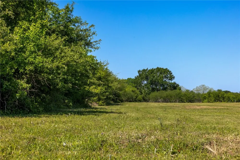 Sauney Chapel Road Chappell Hill, TX 77426