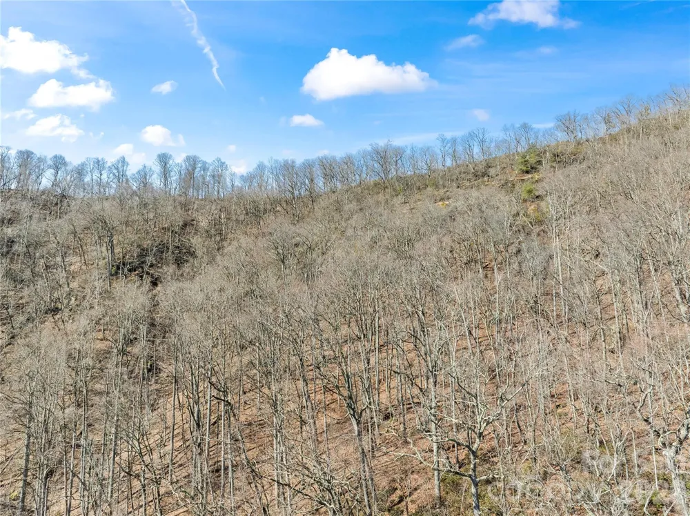 31 Reillys Bluff Road #2 Barnardsville, NC 28709