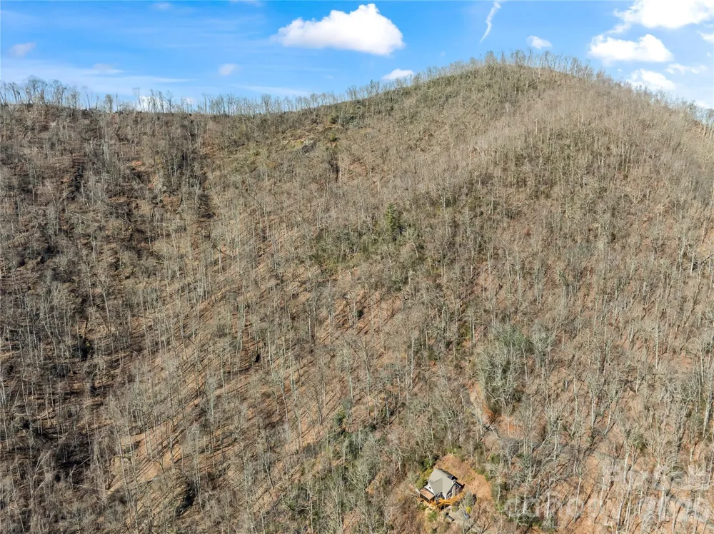 31 Reillys Bluff Road #2 Barnardsville, NC 28709