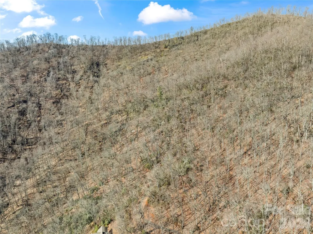31 Reillys Bluff Road #2 Barnardsville, NC 28709