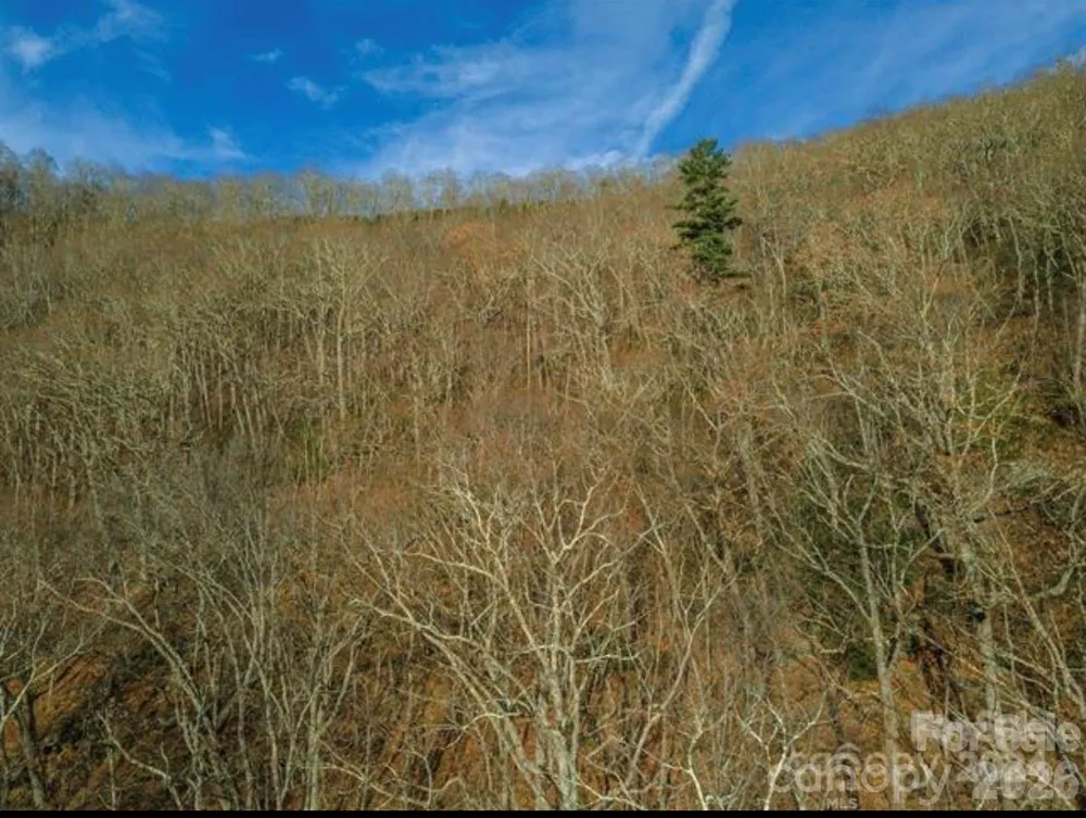 31 Reillys Bluff Road #2 Barnardsville, NC 28709