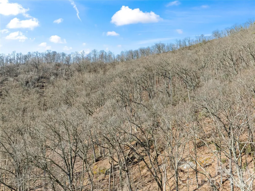 31 Reillys Bluff Road #2 Barnardsville, NC 28709