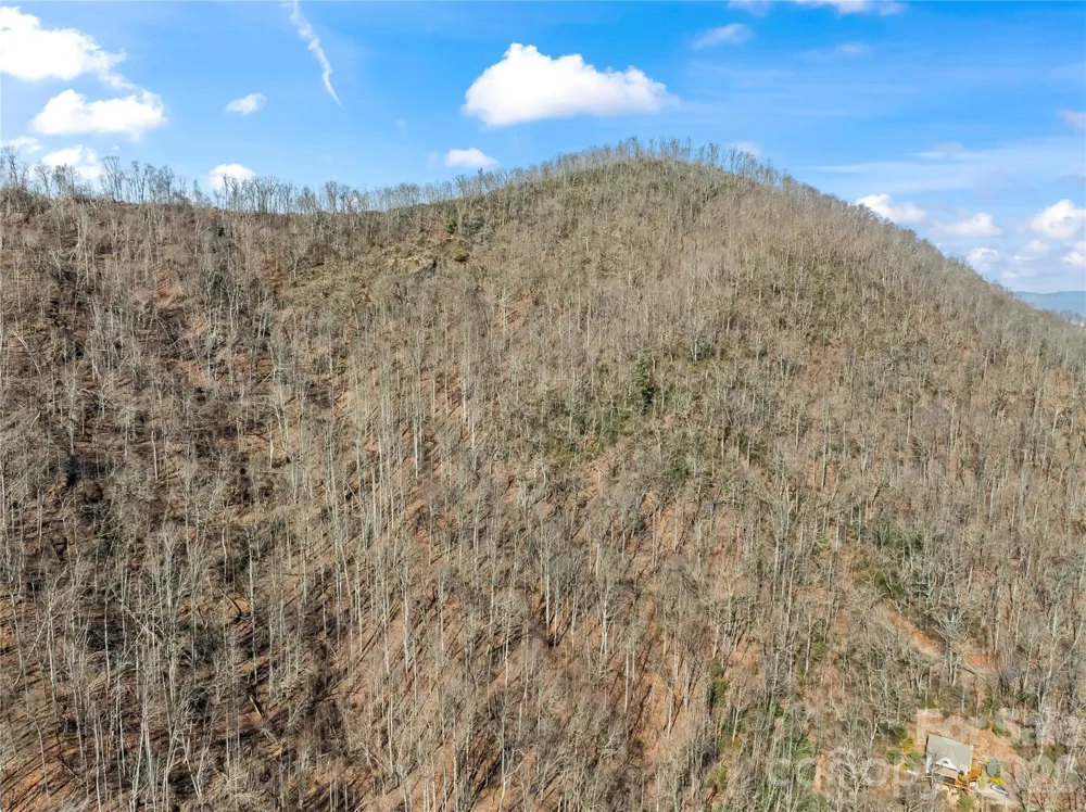 31 Reillys Bluff Road #2 Barnardsville, NC 28709