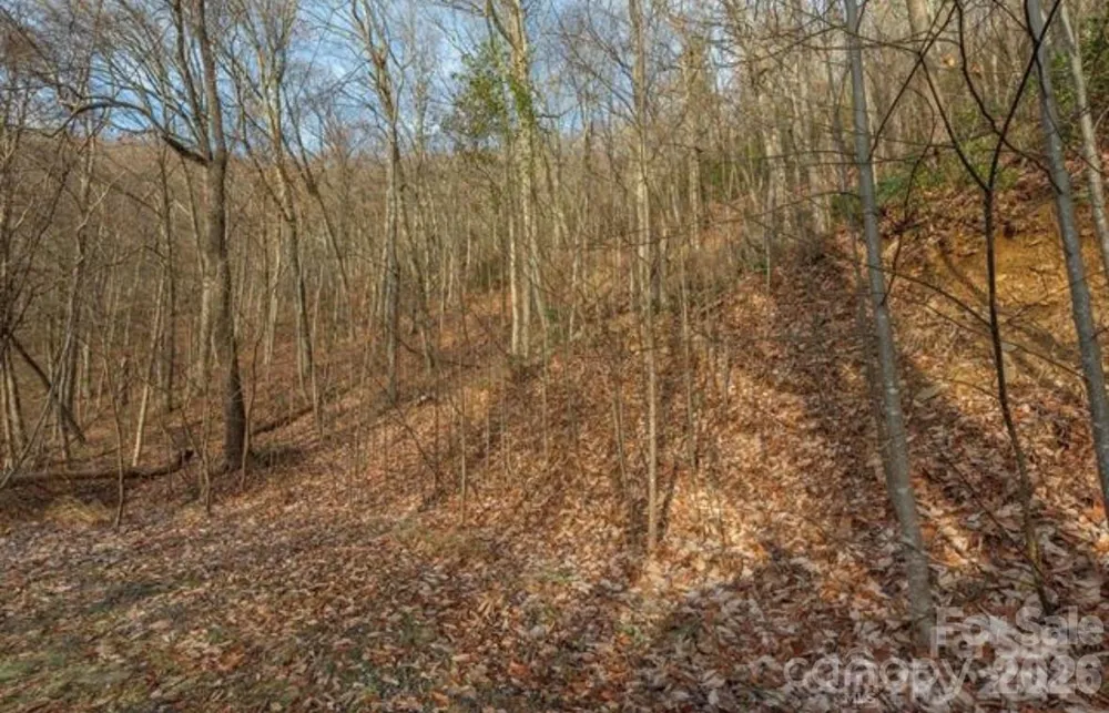 31 Reillys Bluff Road #2 Barnardsville, NC 28709