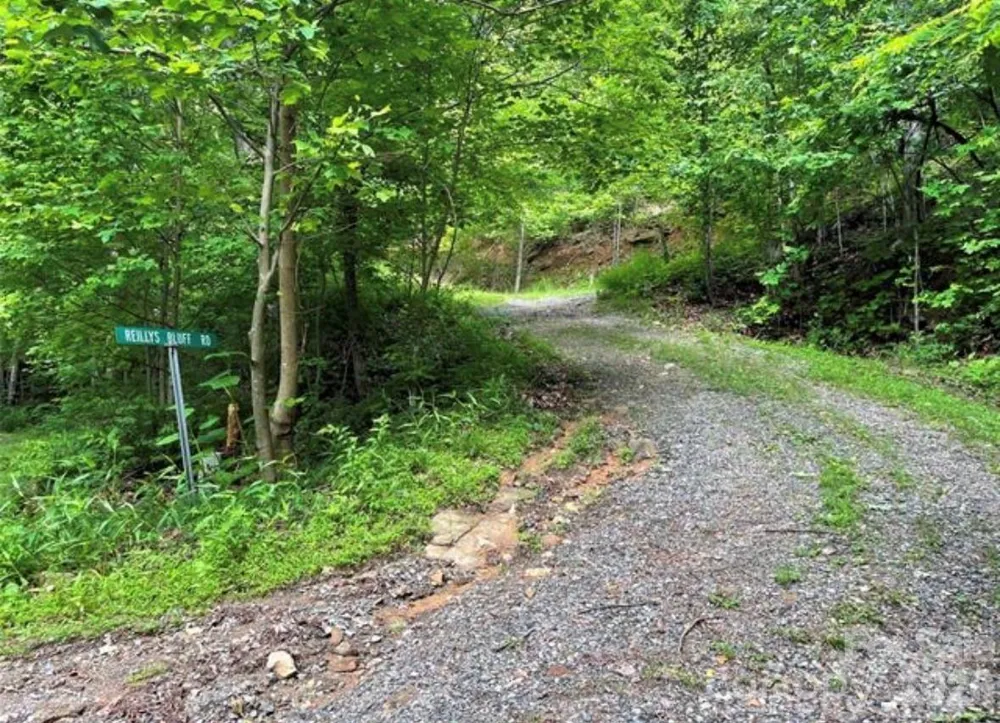 31 Reillys Bluff Road #2 Barnardsville, NC 28709