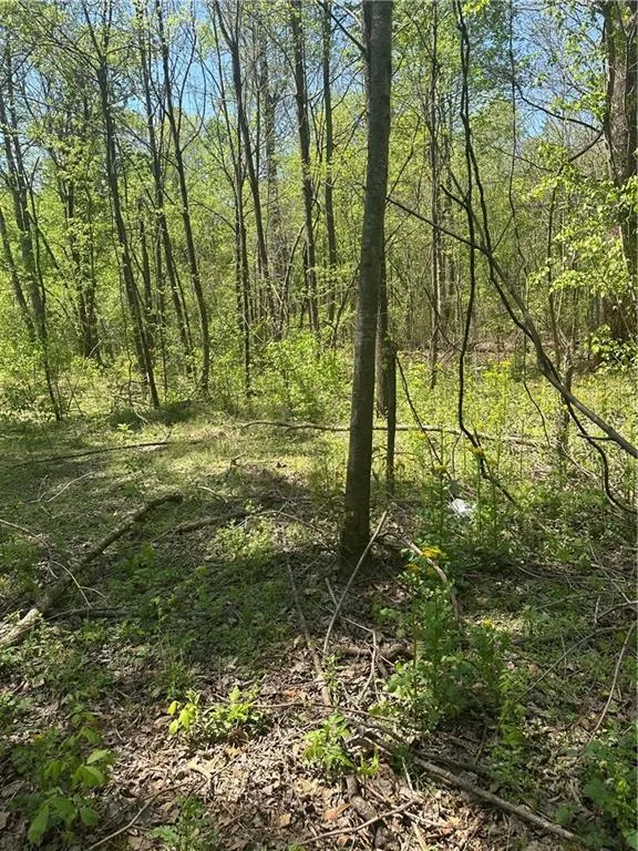 0 N. 411 HWY Highway Eton, GA 30705