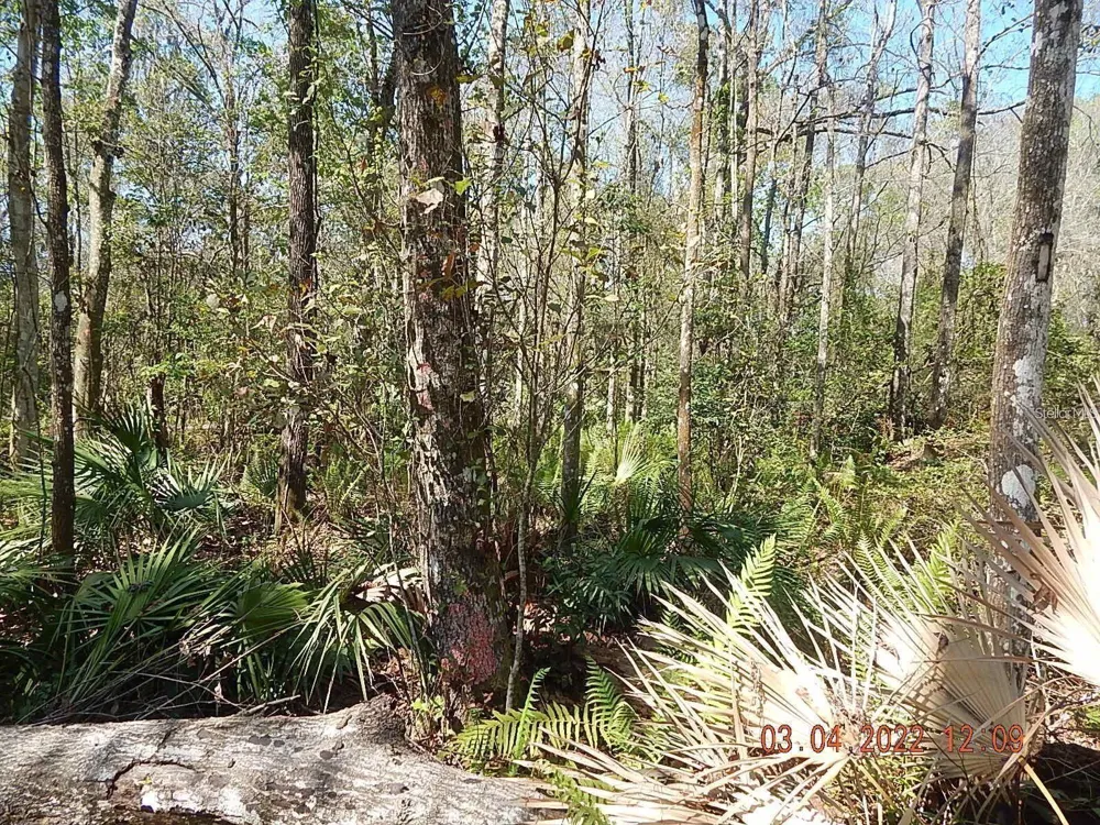 1026 BUIST STREET Orlando, FL 32828