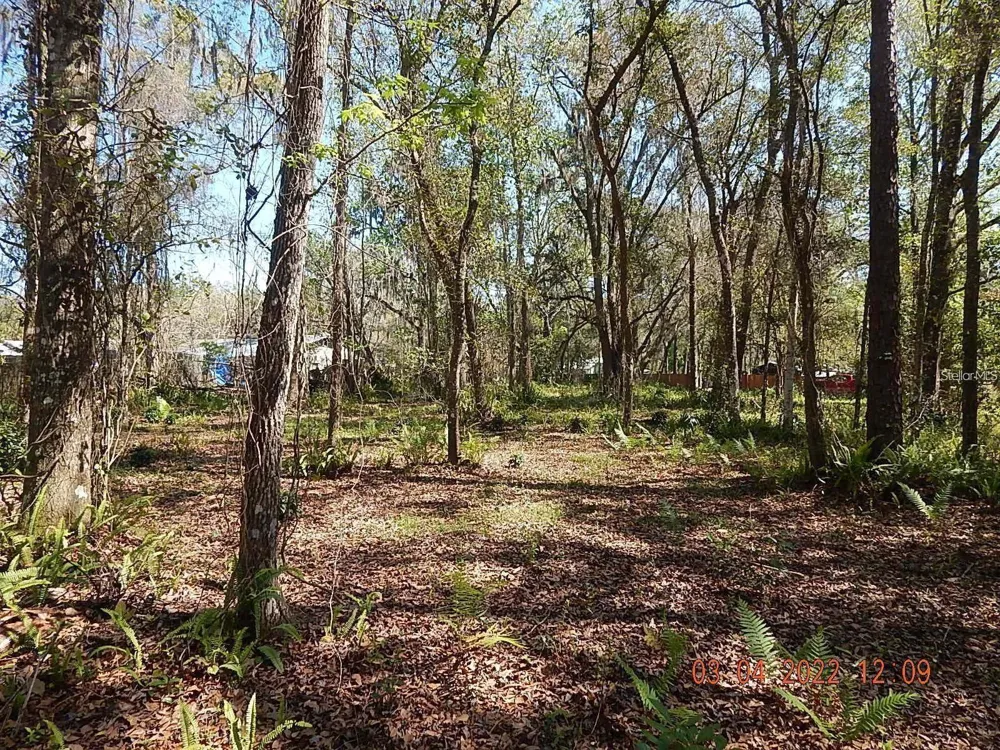 1026 BUIST STREET Orlando, FL 32828
