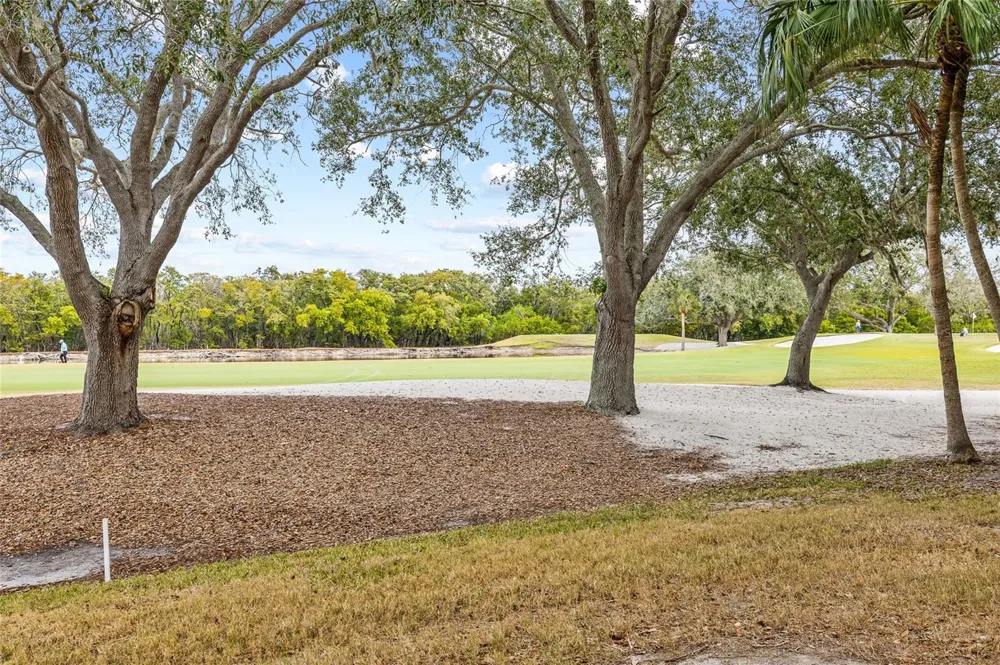 2333 FEATHER SOUND DRIVE #A101 Clearwater, FL 33762