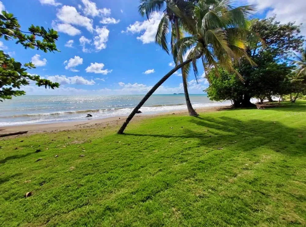 CARR 3 KM 66.7 CALA DE HUCARES #C210 Naguabo, PR 00718